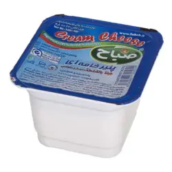 صباح پنیر خامه ای 100 گ