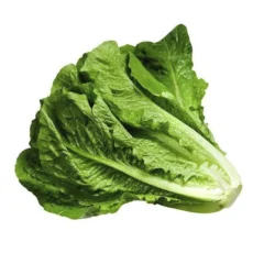 کاهو