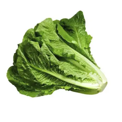کاهو