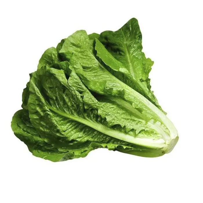 کاهو