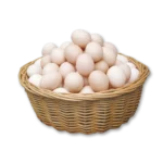 تخم مرغ