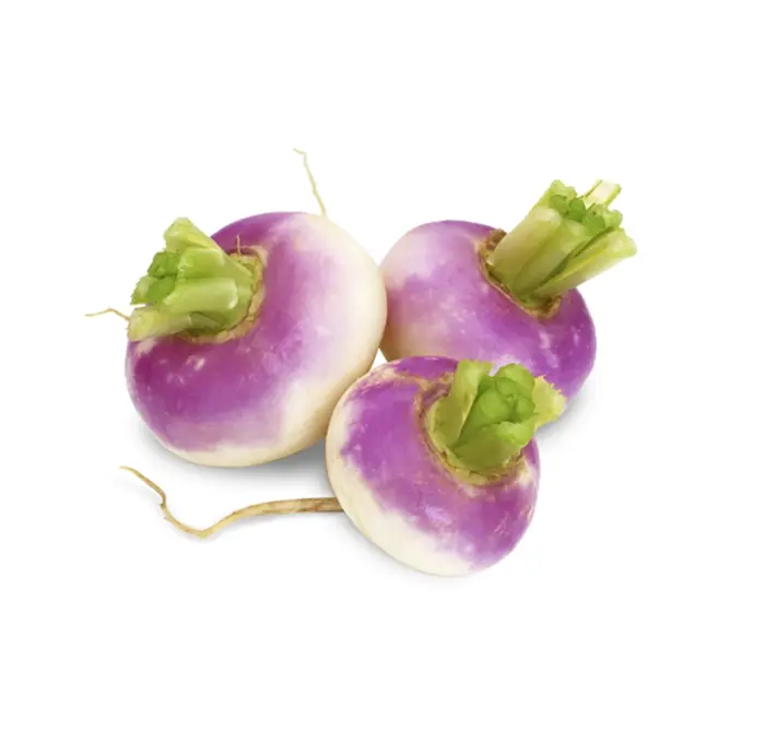 شلغم