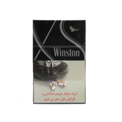 وینستون ایکس اس نقره ای