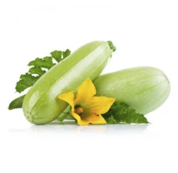 کدو سبز