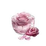 گلاب