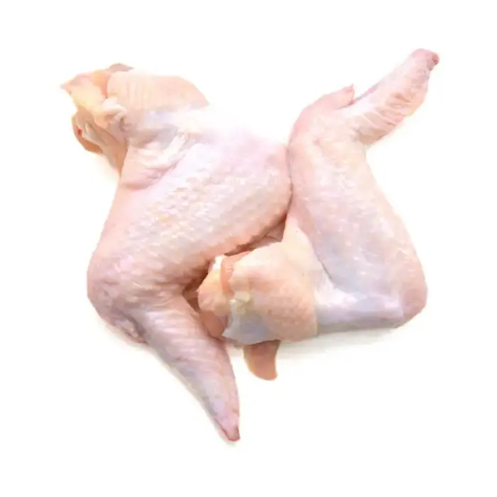 بال کامل مرغ تازه