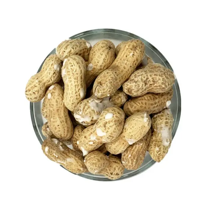 بادام زمینی با پوست آستانه