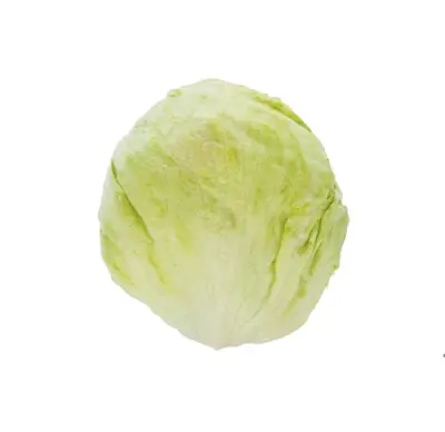 کاهو پیچ (آیس برگ)