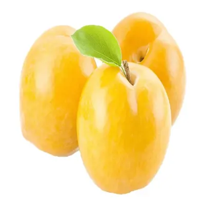 آلو طلایی