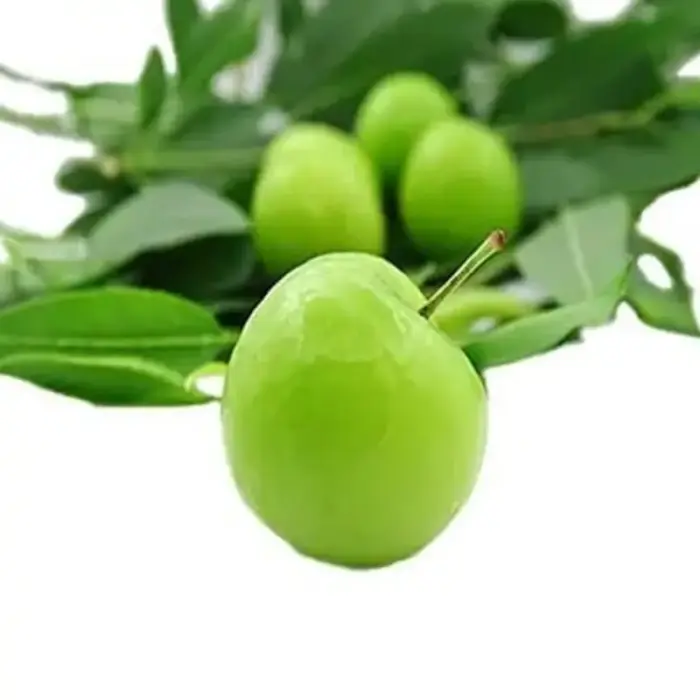 آلوچه محلی