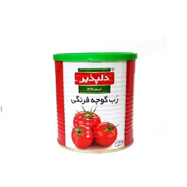 دلپذیر رب گوجه فرنگی قوطی 400 گ
